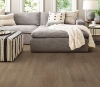 Picture of Philadelphia Commercial by Shaw - Fortitude Casual Comfort