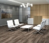 Picture of Philadelphia Commercial by Shaw - In the Grain II 12 Elmwood