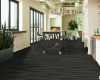 Picture of Philadelphia Commercial by Shaw - In the Grain II 12 Ember