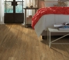 Picture of Philadelphia Commercial by Shaw - In the Grain II 12 Farro