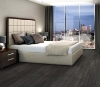 Picture of Philadelphia Commercial by Shaw - In the Grain II 20 Ember
