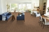 Picture of Philadelphia Commercial by Shaw - In the Grain II 20 Farro