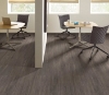 Picture of Philadelphia Commercial by Shaw - In the Grain II 20 Freekah