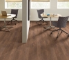 Picture of Philadelphia Commercial by Shaw - In the Grain II 20 Sandlewood