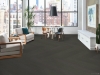Picture of Philadelphia Commercial by Shaw - Philosophers Tree Tortoise Shell