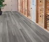Picture of Philadelphia Commercial by Shaw - Philosophers Tree Graphite Steel