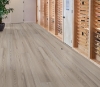 Picture of Philadelphia Commercial by Shaw - Philosophers Tree Weathered Bark