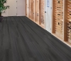 Picture of Philadelphia Commercial by Shaw - Philosophers Tree Igneous