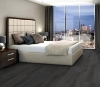 Picture of Philadelphia Commercial by Shaw - Philosophers Tree Igneous