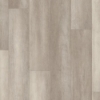 Picture of Philadelphia Commercial by Shaw - Philosophers Tree Pyrite