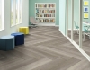 Picture of Philadelphia Commercial by Shaw - Philosophers Tree Pyrite