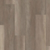 Picture of Philadelphia Commercial by Shaw - Philosophers Tree River Rock