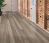 Picture of Philadelphia Commercial by Shaw - Philosophers Tree River Rock