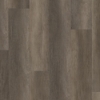 Picture of Philadelphia Commercial by Shaw - Philosophers Tree Bronze