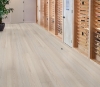 Picture of Philadelphia Commercial by Shaw - Philosophers Tree Pebble