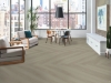 Picture of Philadelphia Commercial by Shaw - Philosophers Tree Pebble