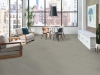 Picture of Philadelphia Commercial by Shaw - Philosophers Tree Fossil