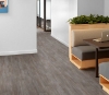Picture of Philadelphia Commercial by Shaw - Purview 20 Jasper