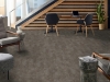 Picture of Philadelphia Commercial by Shaw - Purview 20 Jasper