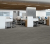 Picture of Philadelphia Commercial by Shaw - Purview 20 Mineral