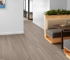 Picture of Philadelphia Commercial by Shaw - Purview 20 Sedona