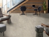 Picture of Philadelphia Commercial by Shaw - Purview 20 Antler