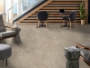 Picture of Philadelphia Commercial by Shaw - Purview SPC Click Sarengeti