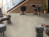 Picture of Philadelphia Commercial by Shaw - Purview SPC Click Ecru