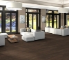 Picture of Philadelphia Commercial by Shaw - Silva Valley 12 Saguaro