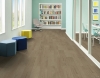 Picture of Philadelphia Commercial by Shaw - Silva Valley 20 St Helens