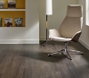 Picture of Philadelphia Commercial by Shaw - Silva Valley 5.0 Iron Mountian