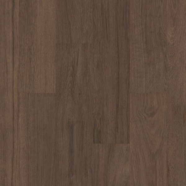 Picture of Philadelphia Commercial by Shaw - Silva Valley 5.0 Saguaro