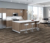 Picture of Philadelphia Commercial by Shaw - Sustain 12 Elmwood
