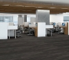 Picture of Philadelphia Commercial by Shaw - Sustain 12 Ember