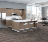 Picture of Philadelphia Commercial by Shaw - Sustain 20 Elm