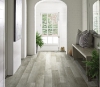 Picture of Philadelphia Commercial by Shaw - Sustain 20 Fir