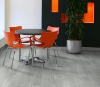 Picture of Philadelphia Commercial by Shaw - Sustain 20 Frosted Oats
