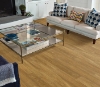 Picture of Philadelphia Commercial by Shaw - Sustain 20 Millet