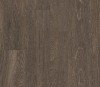 Picture of Philadelphia Commercial by Shaw - USA 12 Plank Wheat