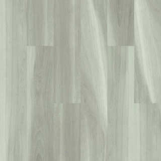 Picture of Shaw Floors - Cathedral Oak 720C Plus Misty Oak
