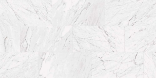 Picture of Chesapeake Flooring - Lexington 12x24 Carrara White Matte