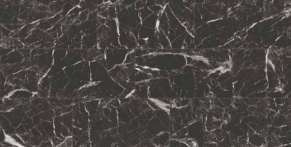 Picture of Chesapeake Flooring - Lexington 24x48 Marmo Nero Matte