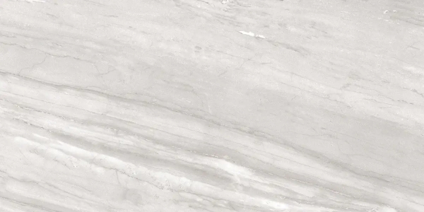 Picture of Chesapeake Flooring - Savoy 24 x 48 Alaska Grey Matte