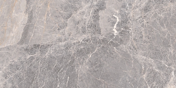 Picture of Chesapeake Flooring - Savoy 24 x 24 Imperial Matte