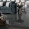 Picture of Emser Tile - Prodigy 12 x 24 Pascal Polished