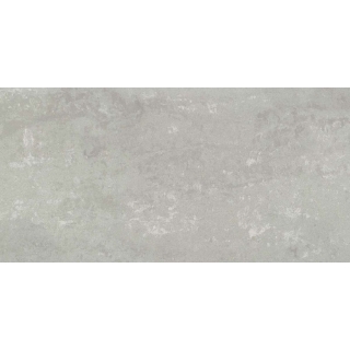 Picture of Emser Tile - Prodigy 12 x 24 Fermi Matte