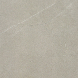 Picture of Emser Tile - Solara 20 x 20 Meriva