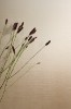 Picture of Emser Tile - Spectra Wall 20 x 47 Horizon