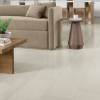 Picture of Emser Tile - Sterlina II 12 x 24 Polished Silver
