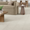 Picture of Emser Tile - Sterlina II 12 x 24 Matte Silver